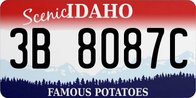 ID license plate 3B8087C