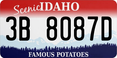 ID license plate 3B8087D