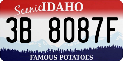 ID license plate 3B8087F