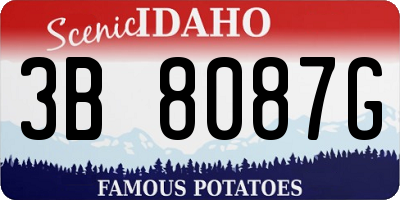 ID license plate 3B8087G