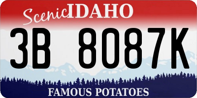 ID license plate 3B8087K
