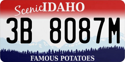 ID license plate 3B8087M