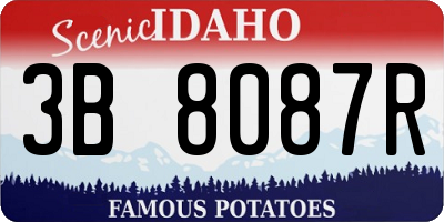 ID license plate 3B8087R