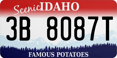 ID license plate 3B8087T