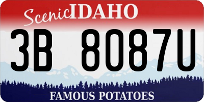 ID license plate 3B8087U