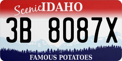 ID license plate 3B8087X