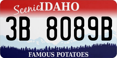ID license plate 3B8089B