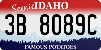 ID license plate 3B8089C