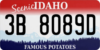 ID license plate 3B8089D