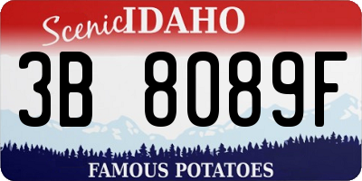 ID license plate 3B8089F