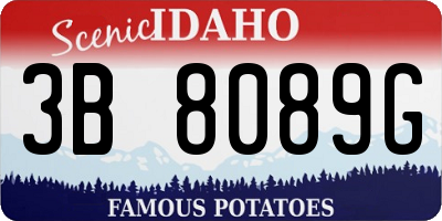 ID license plate 3B8089G