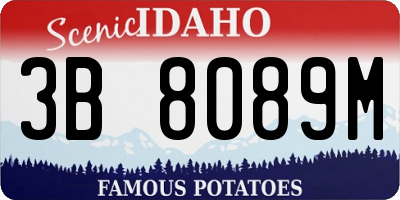 ID license plate 3B8089M