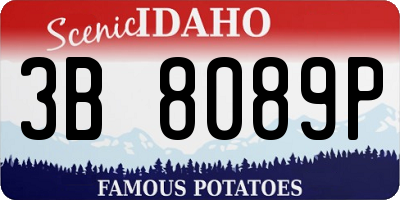 ID license plate 3B8089P