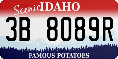 ID license plate 3B8089R