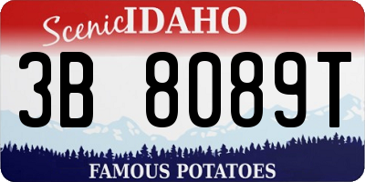 ID license plate 3B8089T