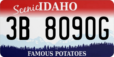 ID license plate 3B8090G