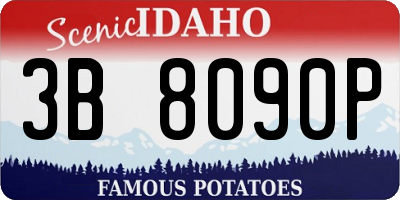 ID license plate 3B8090P