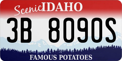 ID license plate 3B8090S