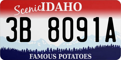 ID license plate 3B8091A