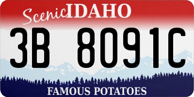 ID license plate 3B8091C