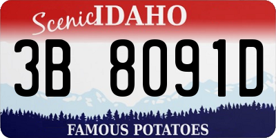 ID license plate 3B8091D