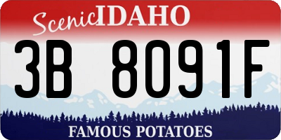 ID license plate 3B8091F