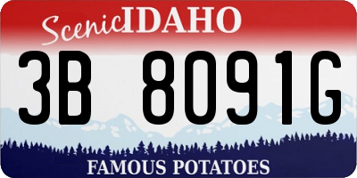 ID license plate 3B8091G