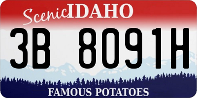 ID license plate 3B8091H