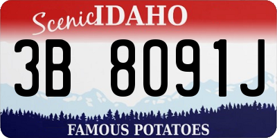 ID license plate 3B8091J