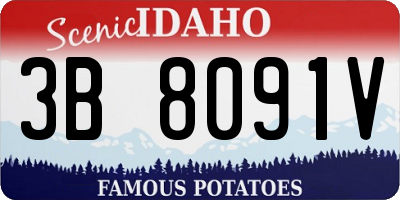 ID license plate 3B8091V