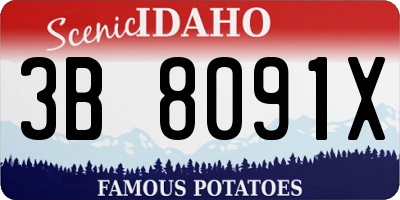 ID license plate 3B8091X