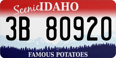 ID license plate 3B8092O