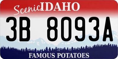 ID license plate 3B8093A