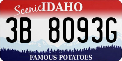 ID license plate 3B8093G
