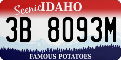 ID license plate 3B8093M