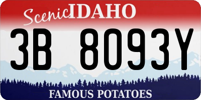 ID license plate 3B8093Y