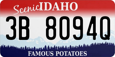 ID license plate 3B8094Q