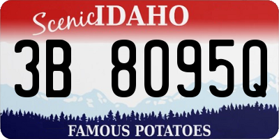 ID license plate 3B8095Q