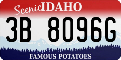 ID license plate 3B8096G