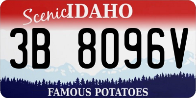 ID license plate 3B8096V