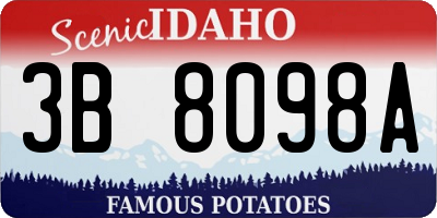 ID license plate 3B8098A