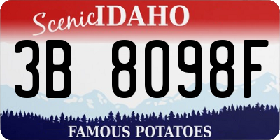 ID license plate 3B8098F