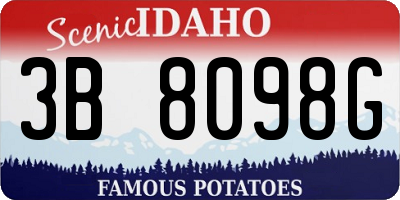 ID license plate 3B8098G