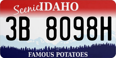 ID license plate 3B8098H