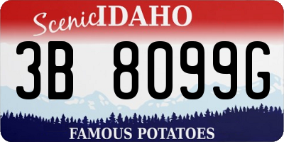 ID license plate 3B8099G
