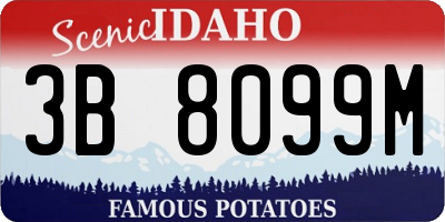 ID license plate 3B8099M