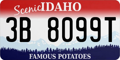 ID license plate 3B8099T