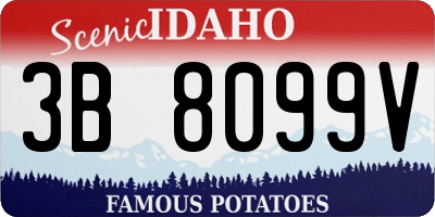ID license plate 3B8099V