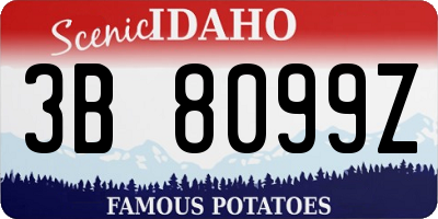 ID license plate 3B8099Z