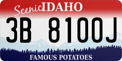 ID license plate 3B8100J